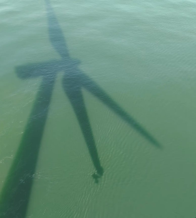 Sombra de un aerogenerador reflejada en el mar